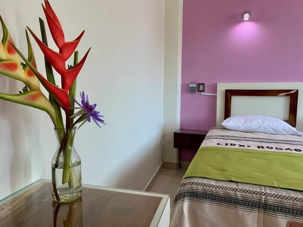 Aparthotel Lidxi Rosae Puerto Escondido  Exteriér fotografie